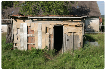 Eco-Friendly Shed Clearance London