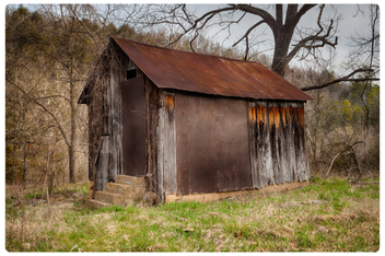 Shed Clearance Company London